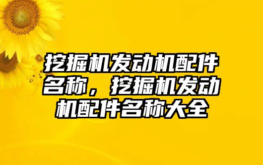 挖掘機發(fā)動機配件名稱，挖掘機發(fā)動機配件名稱大全