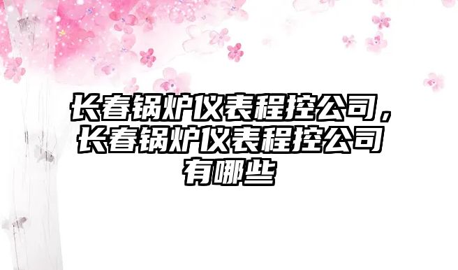 長春鍋爐儀表程控公司，長春鍋爐儀表程控公司有哪些