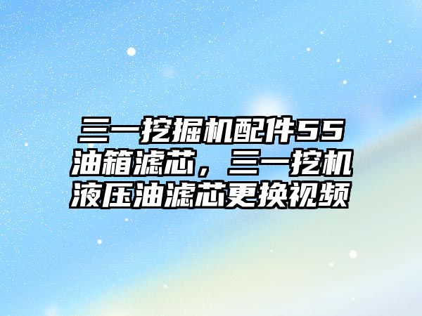 三一挖掘機(jī)配件55油箱濾芯，三一挖機(jī)液壓油濾芯更換視頻