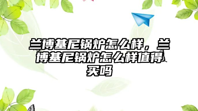 蘭博基尼鍋爐怎么樣，蘭博基尼鍋爐怎么樣值得買嗎