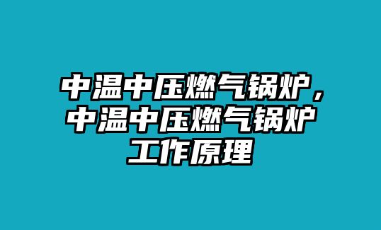 中溫中壓燃?xì)忮仩t，中溫中壓燃?xì)忮仩t工作原理