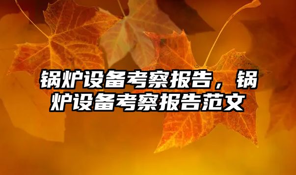 鍋爐設(shè)備考察報告，鍋爐設(shè)備考察報告范文