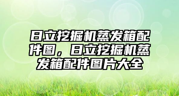 日立挖掘機蒸發(fā)箱配件圖，日立挖掘機蒸發(fā)箱配件圖片大全