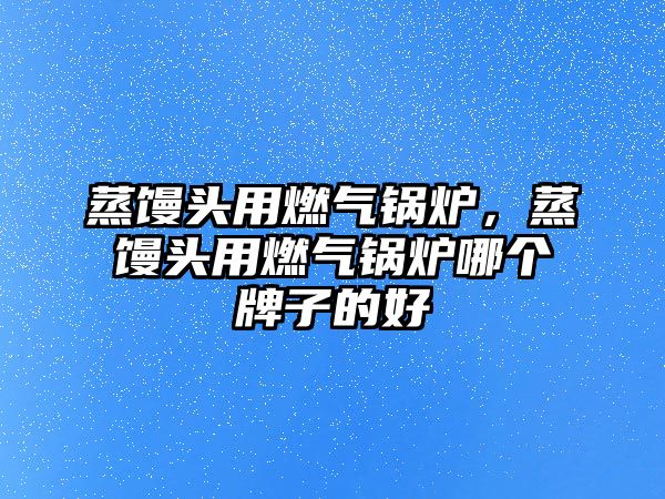 蒸饅頭用燃氣鍋爐，蒸饅頭用燃氣鍋爐哪個牌子的好