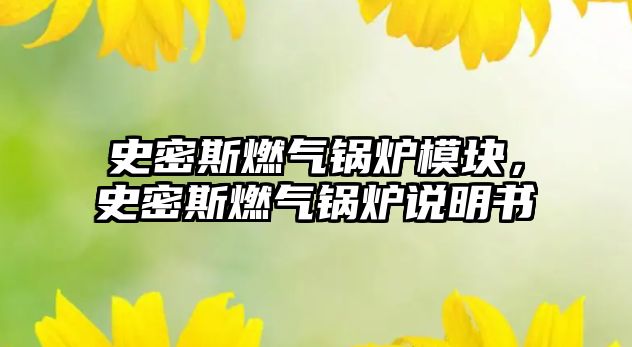 史密斯燃氣鍋爐模塊，史密斯燃氣鍋爐說明書