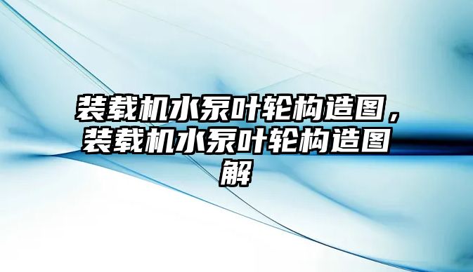 裝載機(jī)水泵葉輪構(gòu)造圖，裝載機(jī)水泵葉輪構(gòu)造圖解