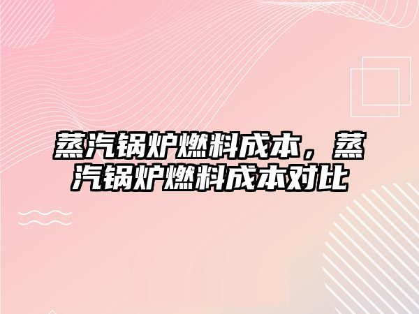 蒸汽鍋爐燃料成本，蒸汽鍋爐燃料成本對比