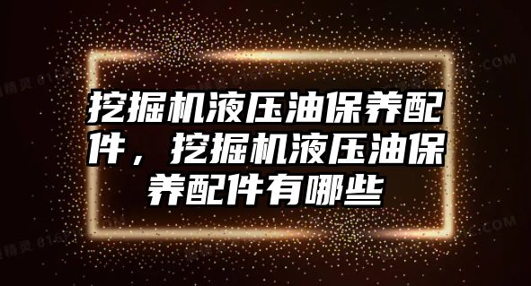 挖掘機液壓油保養(yǎng)配件，挖掘機液壓油保養(yǎng)配件有哪些