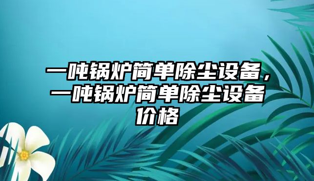 一噸鍋爐簡(jiǎn)單除塵設(shè)備，一噸鍋爐簡(jiǎn)單除塵設(shè)備價(jià)格