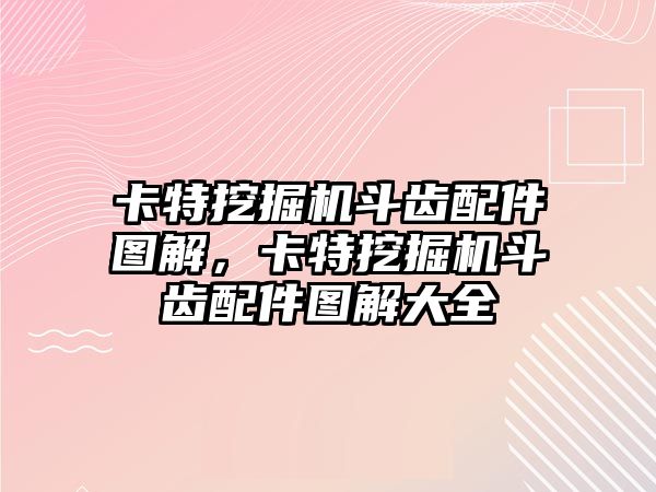 卡特挖掘機(jī)斗齒配件圖解，卡特挖掘機(jī)斗齒配件圖解大全