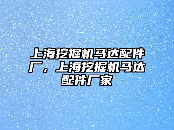 上海挖掘機馬達配件廠，上海挖掘機馬達配件廠家