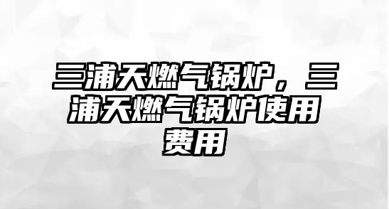 三浦天燃?xì)忮仩t，三浦天燃?xì)忮仩t使用費(fèi)用