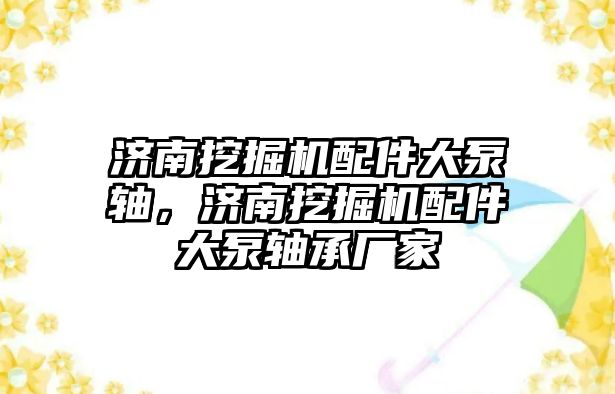 濟南挖掘機配件大泵軸，濟南挖掘機配件大泵軸承廠家