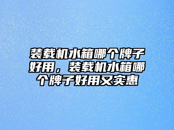 裝載機(jī)水箱哪個(gè)牌子好用，裝載機(jī)水箱哪個(gè)牌子好用又實(shí)惠