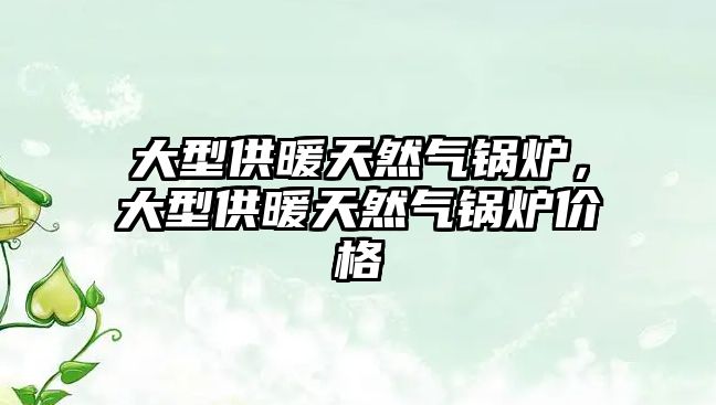 大型供暖天然氣鍋爐，大型供暖天然氣鍋爐價(jià)格