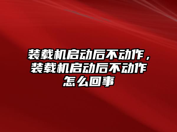 裝載機(jī)啟動后不動作，裝載機(jī)啟動后不動作怎么回事