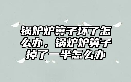 鍋爐爐箅子壞了怎么辦，鍋爐爐箅子掉了一半怎么辦