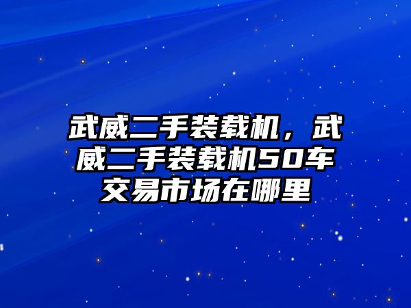 武威二手裝載機(jī)，武威二手裝載機(jī)50車交易市場(chǎng)在哪里