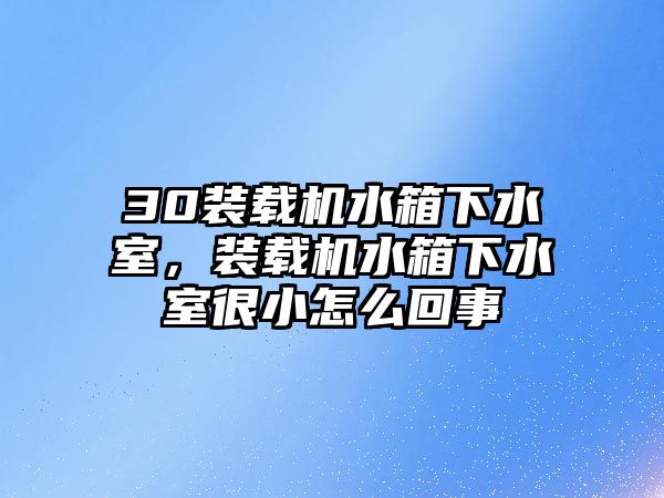 30裝載機水箱下水室，裝載機水箱下水室很小怎么回事