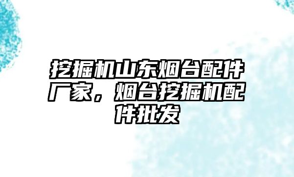 挖掘機山東煙臺配件廠家，煙臺挖掘機配件批發(fā)