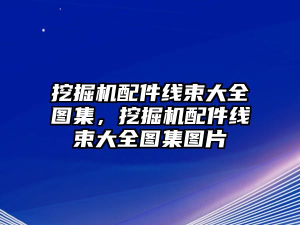 挖掘機配件線束大全圖集，挖掘機配件線束大全圖集圖片