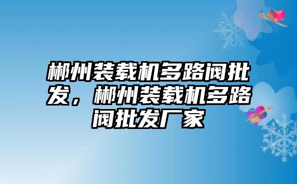 郴州裝載機多路閥批發(fā)，郴州裝載機多路閥批發(fā)廠家