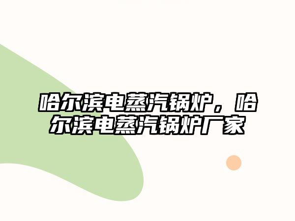 哈爾濱電蒸汽鍋爐，哈爾濱電蒸汽鍋爐廠家