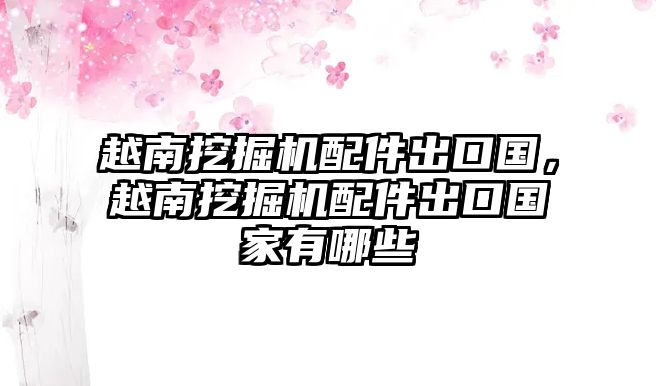 越南挖掘機(jī)配件出口國，越南挖掘機(jī)配件出口國家有哪些