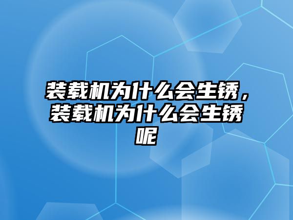 裝載機為什么會生銹，裝載機為什么會生銹呢