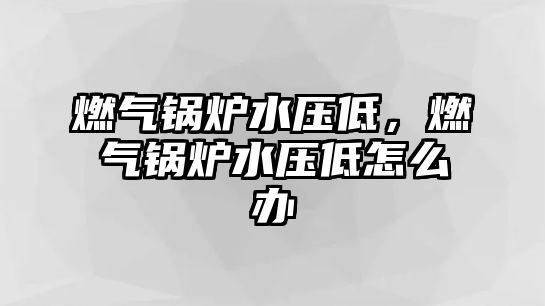 燃?xì)忮仩t水壓低，燃?xì)忮仩t水壓低怎么辦