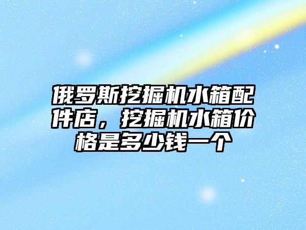 俄羅斯挖掘機水箱配件店，挖掘機水箱價格是多少錢一個