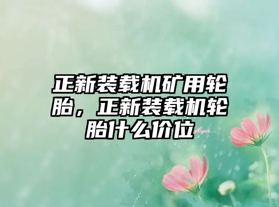 正新裝載機礦用輪胎，正新裝載機輪胎什么價位