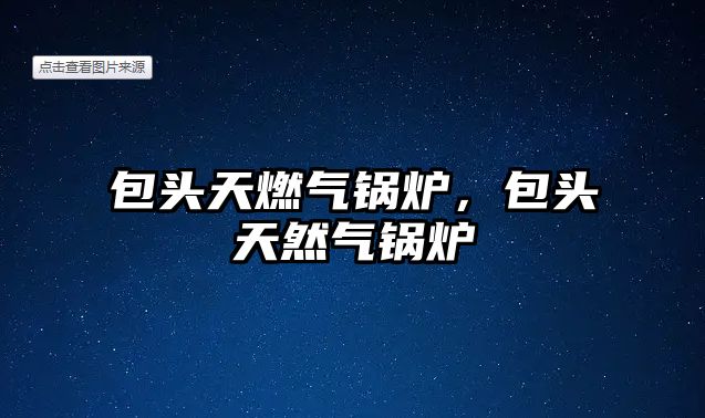 包頭天燃?xì)忮仩t，包頭天然氣鍋爐