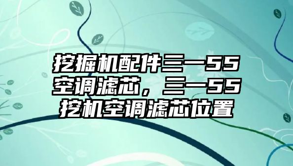 挖掘機(jī)配件三一55空調(diào)濾芯，三一55挖機(jī)空調(diào)濾芯位置