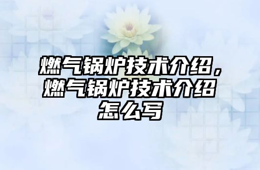 燃?xì)忮仩t技術(shù)介紹，燃?xì)忮仩t技術(shù)介紹怎么寫