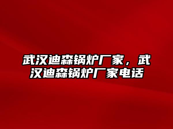 武漢迪森鍋爐廠家，武漢迪森鍋爐廠家電話