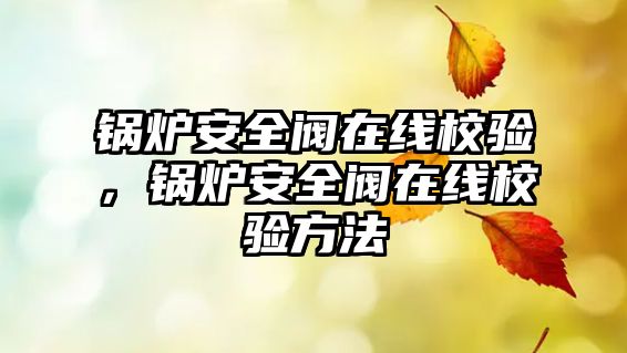 鍋爐安全閥在線校驗，鍋爐安全閥在線校驗方法