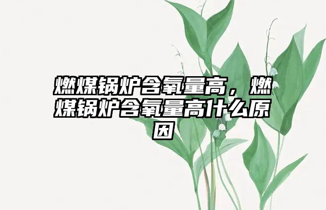 燃煤鍋爐含氧量高，燃煤鍋爐含氧量高什么原因