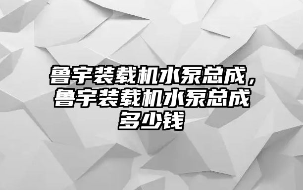 魯宇裝載機(jī)水泵總成，魯宇裝載機(jī)水泵總成多少錢