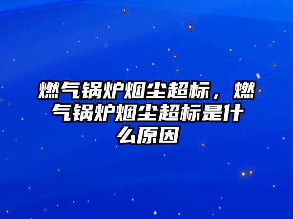 燃?xì)忮仩t煙塵超標(biāo)，燃?xì)忮仩t煙塵超標(biāo)是什么原因