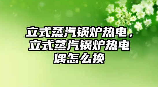 立式蒸汽鍋爐熱電，立式蒸汽鍋爐熱電偶怎么換