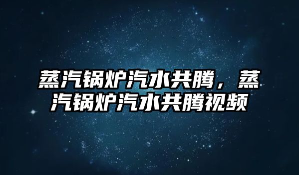 蒸汽鍋爐汽水共騰，蒸汽鍋爐汽水共騰視頻