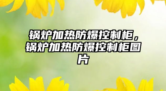 鍋爐加熱防爆控制柜，鍋爐加熱防爆控制柜圖片