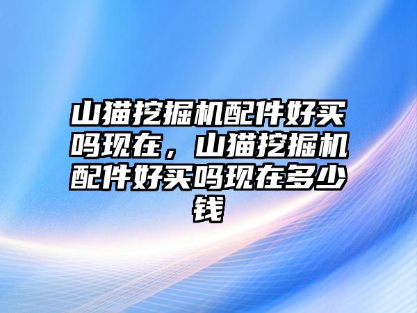 山貓挖掘機(jī)配件好買嗎現(xiàn)在，山貓挖掘機(jī)配件好買嗎現(xiàn)在多少錢