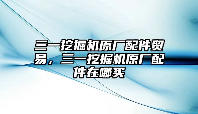 三一挖掘機原廠配件貿(mào)易，三一挖掘機原廠配件在哪買