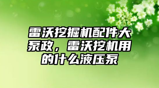 雷沃挖掘機配件大泵政，雷沃挖機用的什么液壓泵