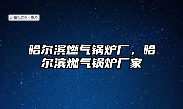 哈爾濱燃氣鍋爐廠，哈爾濱燃氣鍋爐廠家