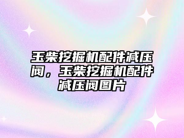 玉柴挖掘機配件減壓閥，玉柴挖掘機配件減壓閥圖片