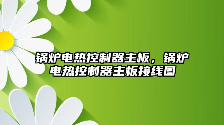 鍋爐電熱控制器主板，鍋爐電熱控制器主板接線圖