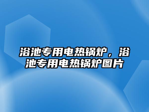 浴池專用電熱鍋爐，浴池專用電熱鍋爐圖片